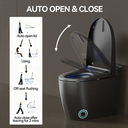 Unique Smart Toile,  One Piece Toilet with Bidet Built In,Intelligent Toilet ...