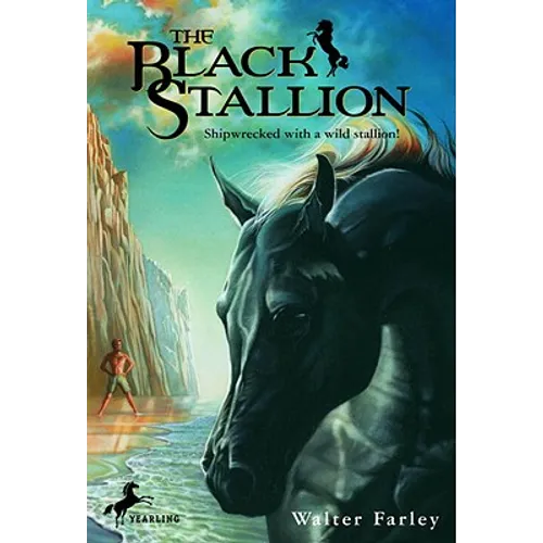 The Black Stallion - Hardcover