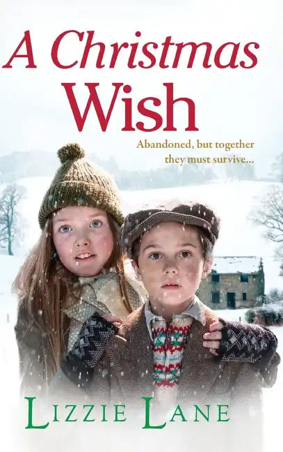 A Christmas Wish - Hardcover
