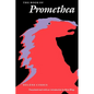 The Book of Promethea - Paperback