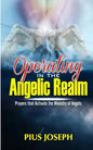 Operating in the Angelic Realm: Prayers that Activate the Ministry of Angels - Paperback