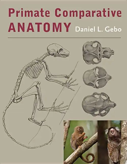 Primate Comparative Anatomy - Hardcover