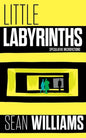 Little Labyrinths: Speculative Microfictions - Paperback