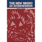 The New Negro: An Interpretation - Paperback