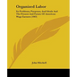 Organized Labor: Its Problems, Purposes, And Ideals And The Present And Future Of American Wage Earners (1903) - Paperback
