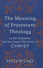 Meaning of Protestant Theology - Hardcover