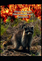 Hiram Raccoon's Phenomenal Movie Adventure - Paperback