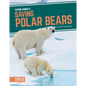 Saving Polar Bears - Library Binding