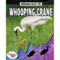 Bringing Back the Whooping Crane - Library Binding