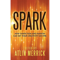 Spark: How Fanfiction and Fandom Can Set Your Creativity On Fire - Paperback