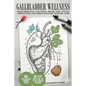 Gallbladder Wellness: The Ultimate Guide to Eliminating Gallbladder Pain, Managing Gallstones, Inflammation, Biliary Colic Attacks, Sludge, - Paperback