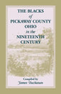 The Blacks of Pickaway County, Ohio in the Nineteenth Century - Paperback