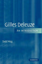 Gilles Deleuze: An Introduction - Paperback