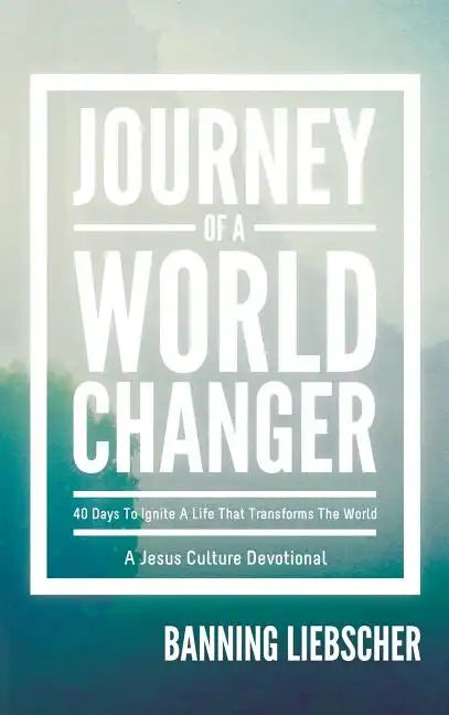 Journey of a World Changer - Hardcover