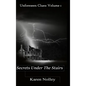 Secrets Under the Stairs - Hardcover