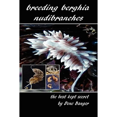 Breeding Berghia Nudibranches the best kept secret - Paperback
