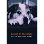 Roland in Moonlight - Hardcover