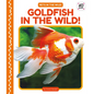 Goldfish in the Wild! - Library Binding