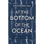 At the Bottom of the Ocean: Poems About A Man Unable To Find Love - Hardcover