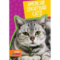 American Shorthair Cats - Library Binding
