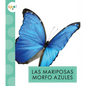Las Mariposas Morfo Azules - Paperback
