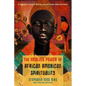 The Healing Power of African-American Spirituality: A Celebration of Ancestor Worship, Herbs and Hoodoo, Ritual and Conjure - Paperback