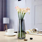 Simple Transparent Aurora Colorful Glass Vase