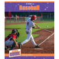 Stem in Baseball - Paperback