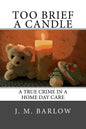 Too Brief A Candle: A True Crime in a Home Day Care - Paperback
