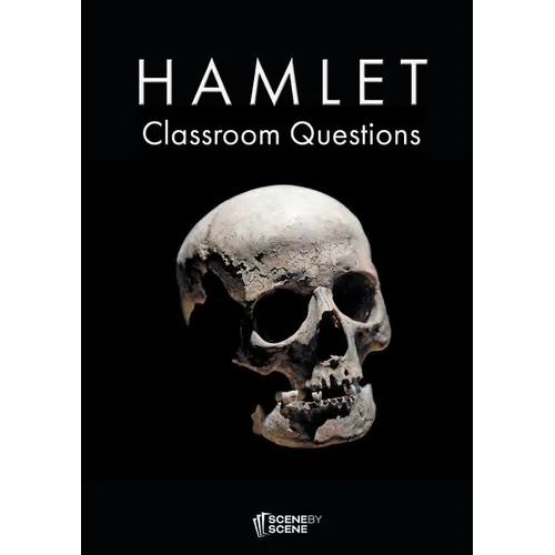 Hamlet Classroom Questions - Paperback