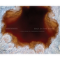 Salt of the Earth: A Visual Odyssey of a Transforming Landscape - Hardcover
