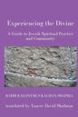 Experiencing the Divine - Paperback