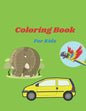 Coloring Book For Kids: Coloring Books Animal And Cars And Flowers - Paperback