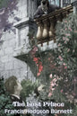 The Lost Prince by Frances Hodgson Burnett, Juvenile Fiction, Classics, Family - Paperback