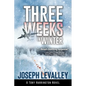 Three Weeks in Winter - Hardcover