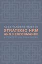 Strategic HRM and Performance: A Conceptual Framework - Paperback