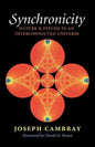 Synchronicity: Nature and Psyche in an Interconnected Universe Volume 15 - Paperback