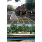 Electric Locomotives of Indian Railways - Paperback