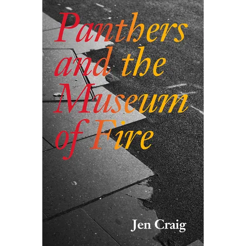 Panthers and the Museum of Fire - Paperback