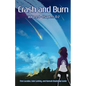 Crash and Burn: Volume 1 - Paperback