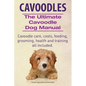 Cavoodles. Ultimate Cavoodle Dog Manual. Cavoodle care, costs, feeding, grooming, health and training all included. - Paperback