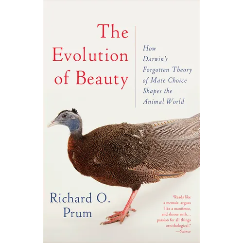 The Evolution of Beauty: How Darwin's Forgotten Theory of Mate Choice Shapes the Animal World - And Us - Paperback