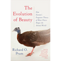 The Evolution of Beauty: How Darwin's Forgotten Theory of Mate Choice Shapes the Animal World - And Us - Paperback