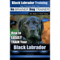 Black Labrador Training with the No BRAINER Dog TRAINER We Make it THAT Easy!: How to EASILY TRAIN Your Black Labrador - Paperback