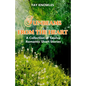Sunbeams from the Heart: A Collection of Twelve Romantic Short Stories - Paperback
