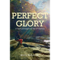 Perfect Glory: 21 Spiritual Insights for the 21st Century - Paperback