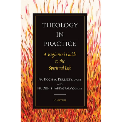 Theology in Practice: A Beginner's Guide to the Spiritual Life - Paperback