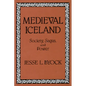 Medieval Iceland: Society, Sagas, and Power - Paperback