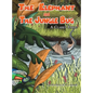 The Elephant and the Jungle Bug - Hardcover