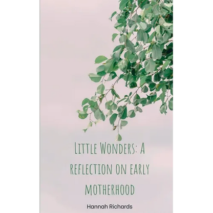 Little Wonders: A reflection on early motherhood - Paperback